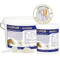 Vetripharm Equipur amino