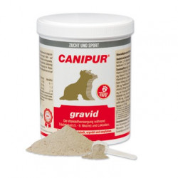 Canipur gravid Trächtigkeit Geburt Laktation