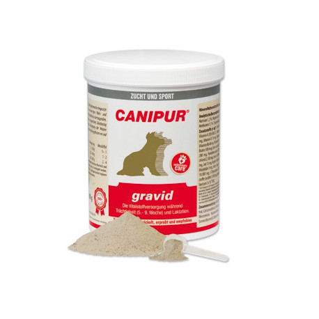 Canipur gravid Trächtigkeit Geburt Laktation