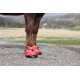 Recovery Jogging Shoe Slim (Paar) - versandkostenfrei Equine Fusion