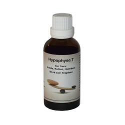 Endokrine Mittel Hypophyse - 50 ml Lösung