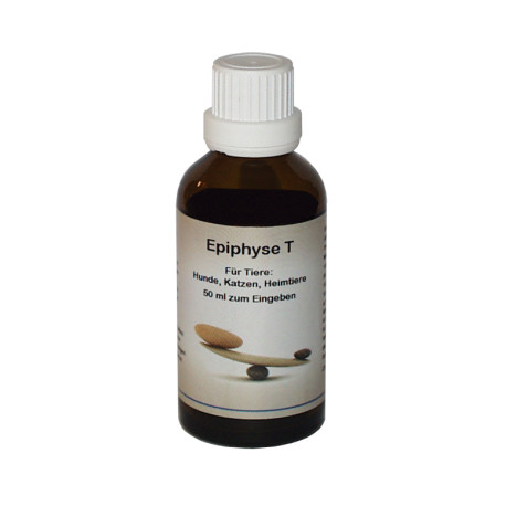 Endokrine Mitte Epiphyse T- 50 ml Lösung