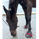 Equine Fusion Hufschuhe für Pferde am Strand, Hufschutz und Gesundheit