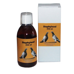 Staphylosal - 250 ml Lösung für Brieftauben