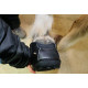 Active Jogging Schuh - Equine Fusion