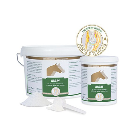 Vetripharm Equipower MSM 2 Kilo
