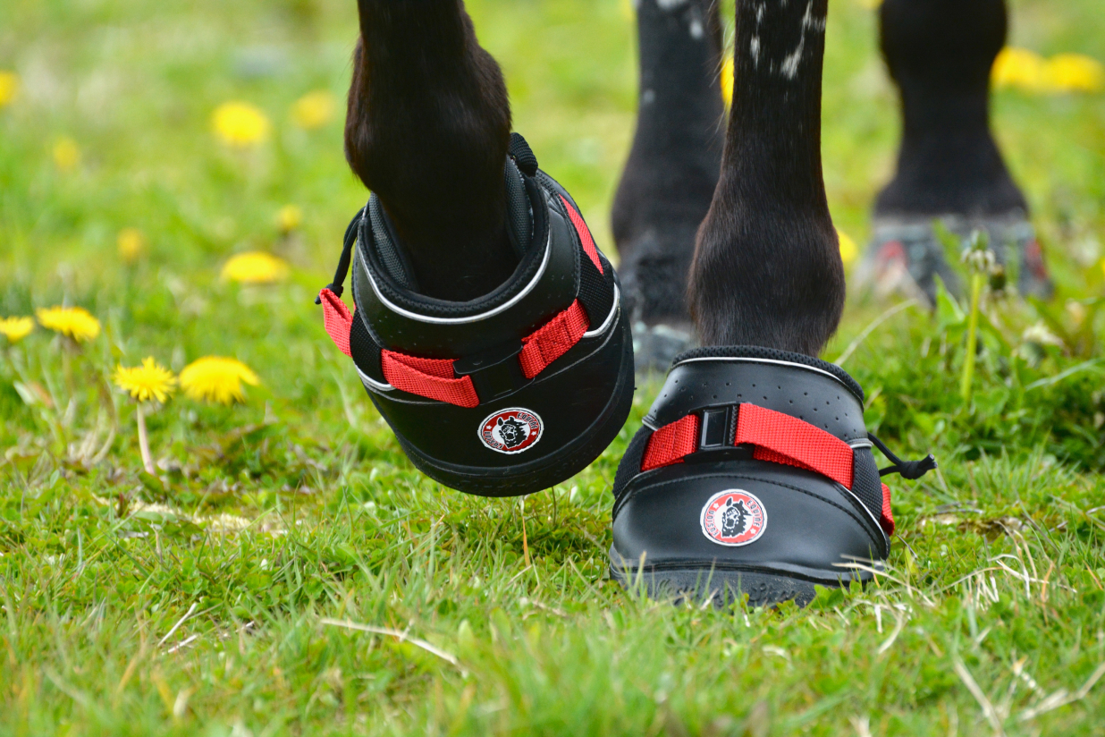 Ultra Jogging Schuh - Equine Fusion